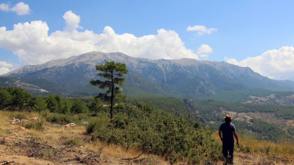 2200 yıllık davaya konu olmuştu... Keşfedildi