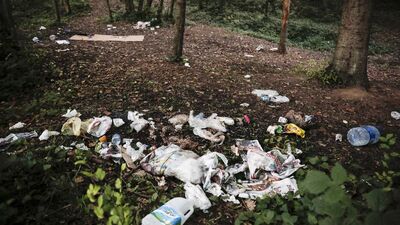Belgrad Ormanı'nda tepki çeken manzara!