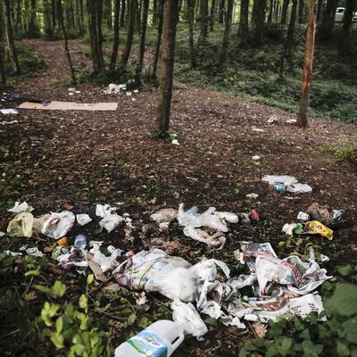 Belgrad Ormanı'nda tepki çeken manzara!