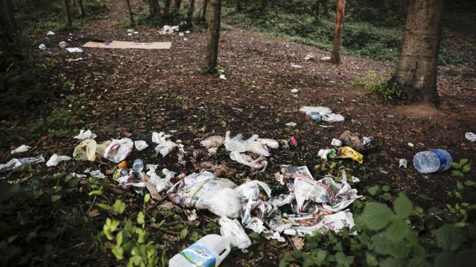 Belgrad Ormanı'nda tepki çeken manzara!