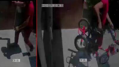 Efe'nin özgürlüğünü çaldı!