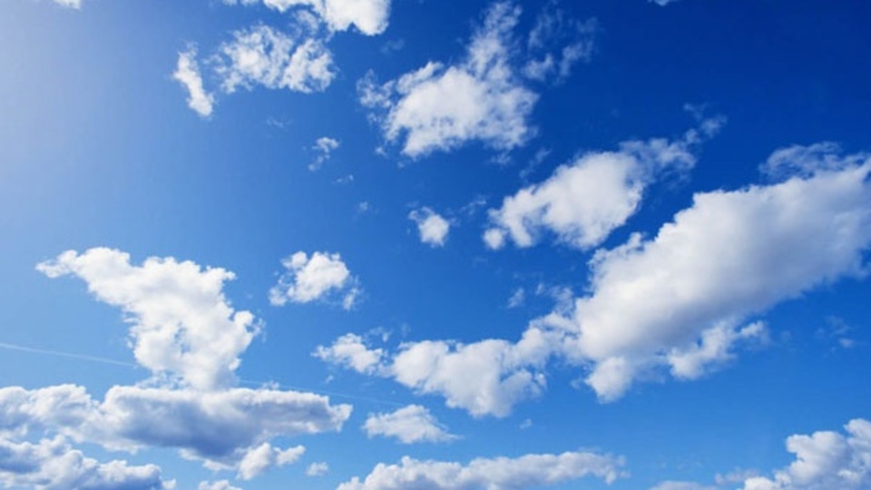 Bilim dallarında absorbsiyon kavramı