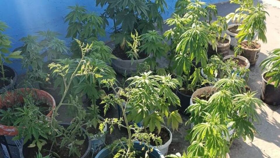 Kütahya'da uyuşturucu operasyonu!