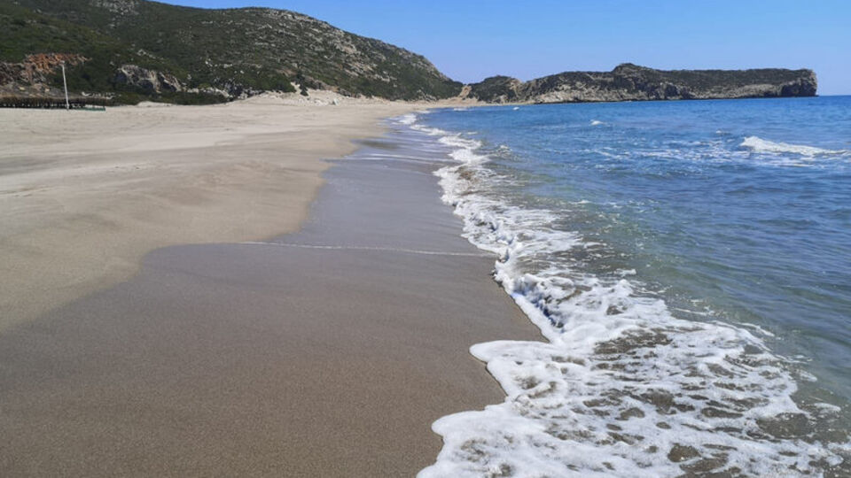 Patara'da tespit edildi... Tam 116 yuva!