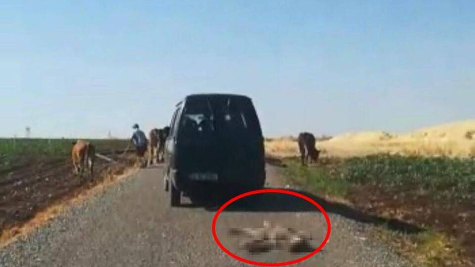 Tepki çeken görüntü! Böyle sürükledi