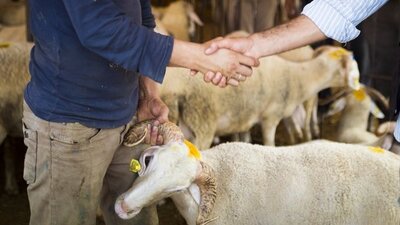 Kurban Bayramında yasak var mı?