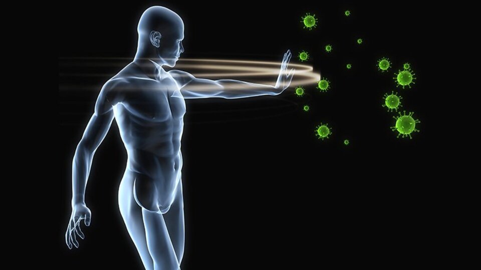 Güçlü bağışıklık sistemi için öneriler