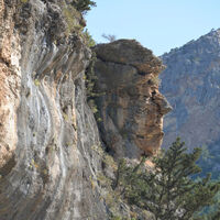 Mersin'deki görüntü dünya basınına konu oldu... Trump'a benzetiliyor