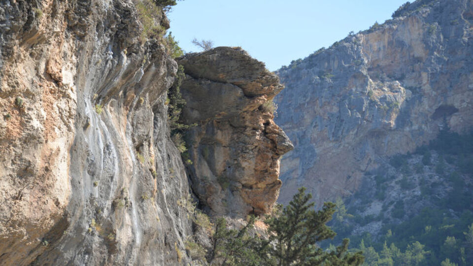 Mersin'deki görüntü dünya basınına konu oldu... Trump'a benzetiliyor