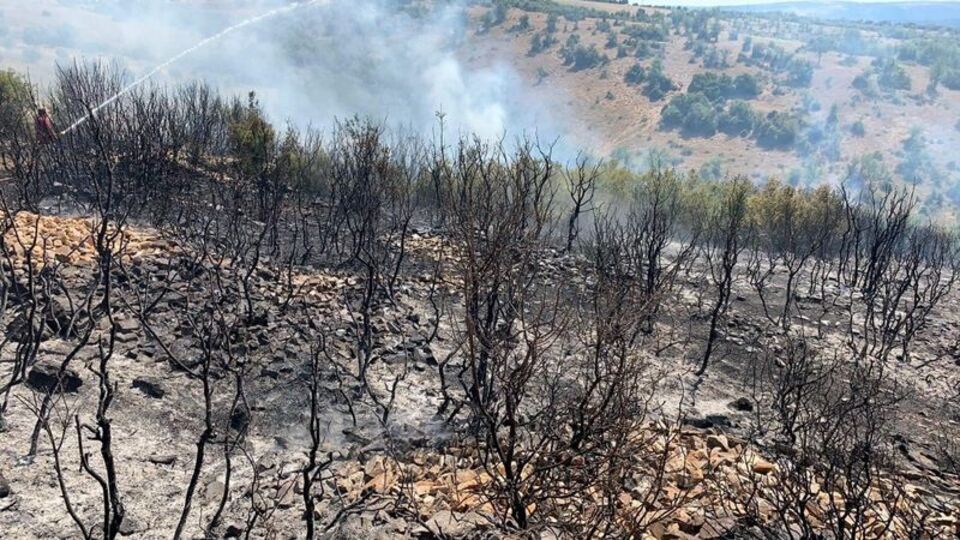 Denizli'de orman yangını