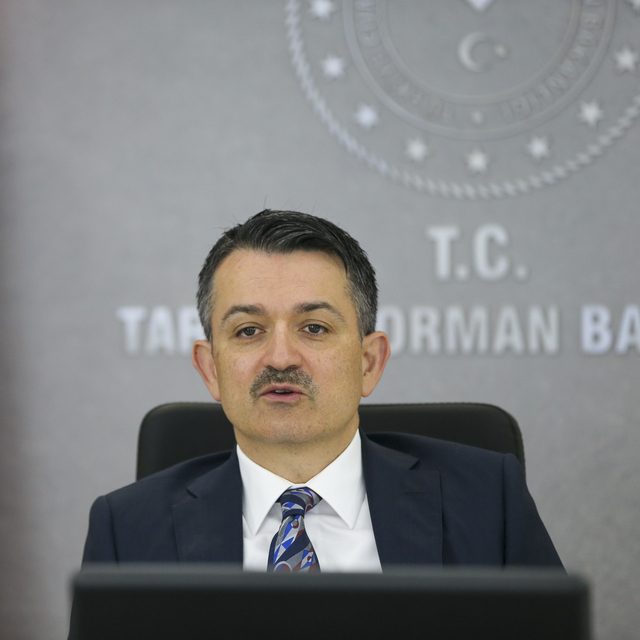 "Muz üretimi yaklaşık 6 kat arttı"