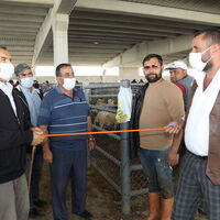 Kurban kesiminde randevu sistemi!