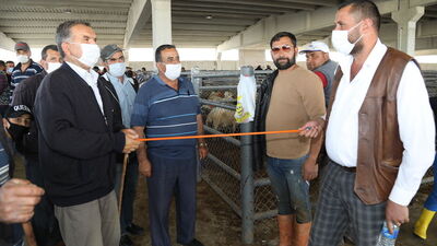 Kurban kesiminde randevu sistemi!