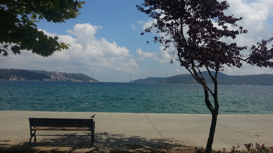 Kireçburnu ve Yeniköy'de de aynı kaos