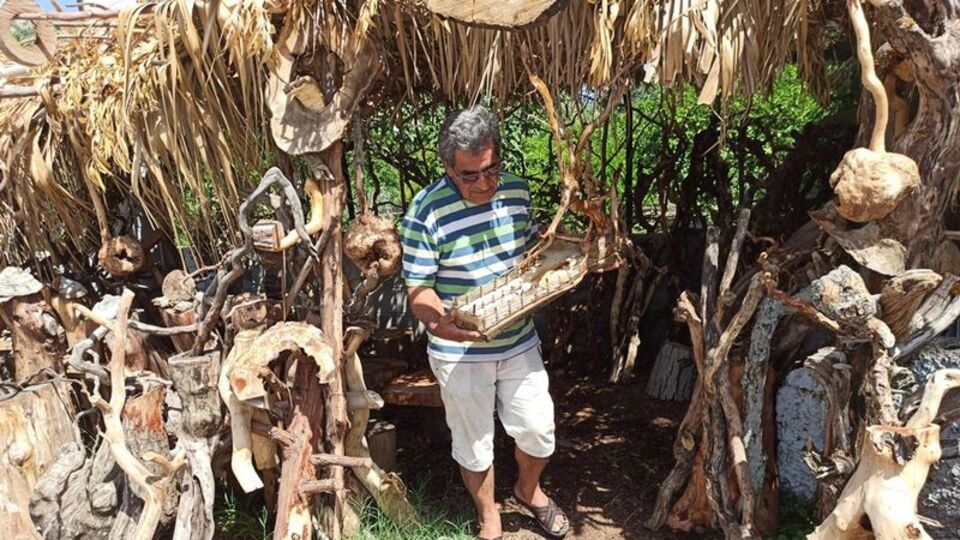 Kurumuş ağaç köklerinden sanat eseri