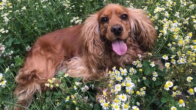 Dükkandan sadece onu çaldılar