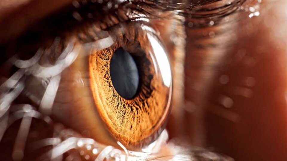 Uzmanından salgın döneminde lens kullanımına ilişkin uyarı!