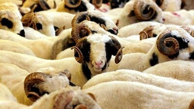 Kurban Bayramı ne zaman 2020?