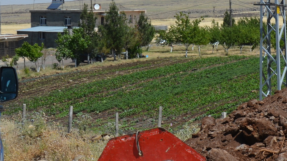 Şanlıurfa'da 31 eve karantina!