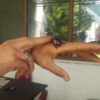 Her yere götürüyor... "İmkanı olsa elinden tutup gezdiririm"