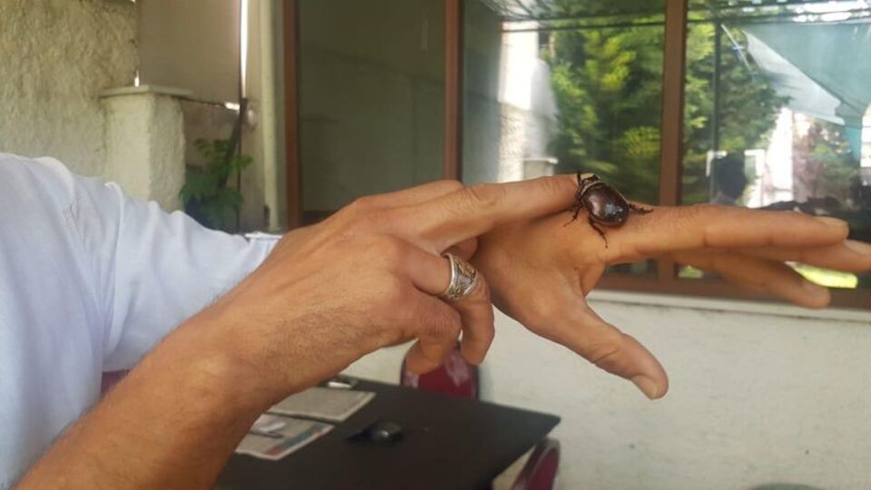 Her yere götürüyor... "İmkanı olsa elinden tutup gezdiririm"