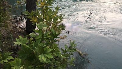 Fotoğraf merakı sonu oldu!