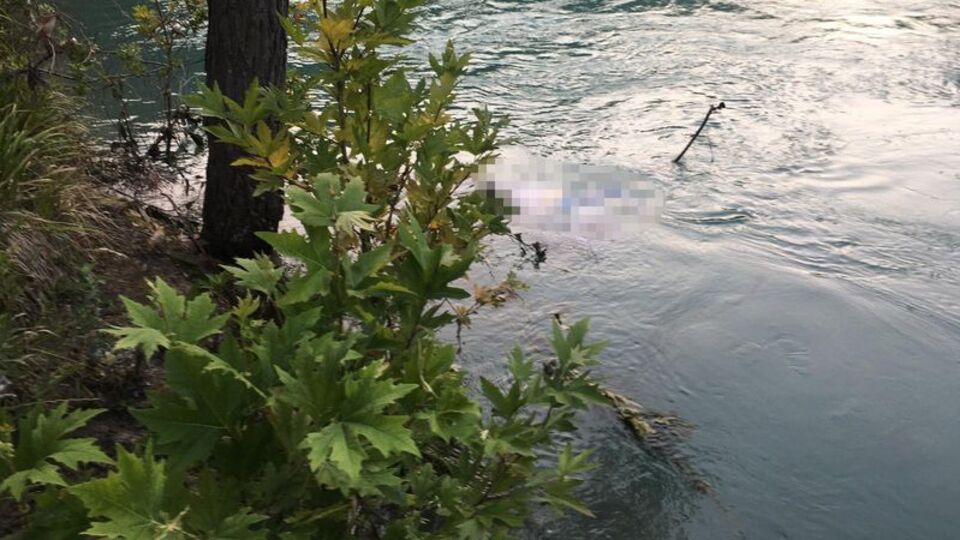 Fotoğraf merakı sonu oldu!