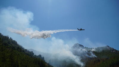 Antalya'da 3 hektarlık orman yandı!