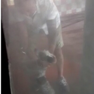 Yavru köpeğe oto yıkamacıda işkence!
