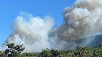 İstanbul'da korkutan orman yangını!