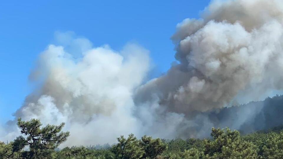 İstanbul'da korkutan orman yangını!