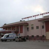 İki kardeşi bıçaklayıp otomobille çarptılar!