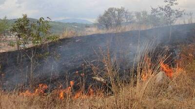 'Anız'a bir kurban daha!