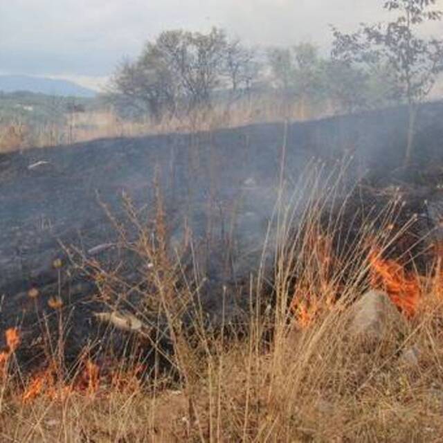 'Anız'a bir kurban daha!