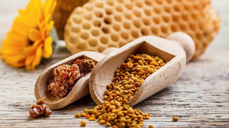 Propolis nedir, faydaları nelerdir?