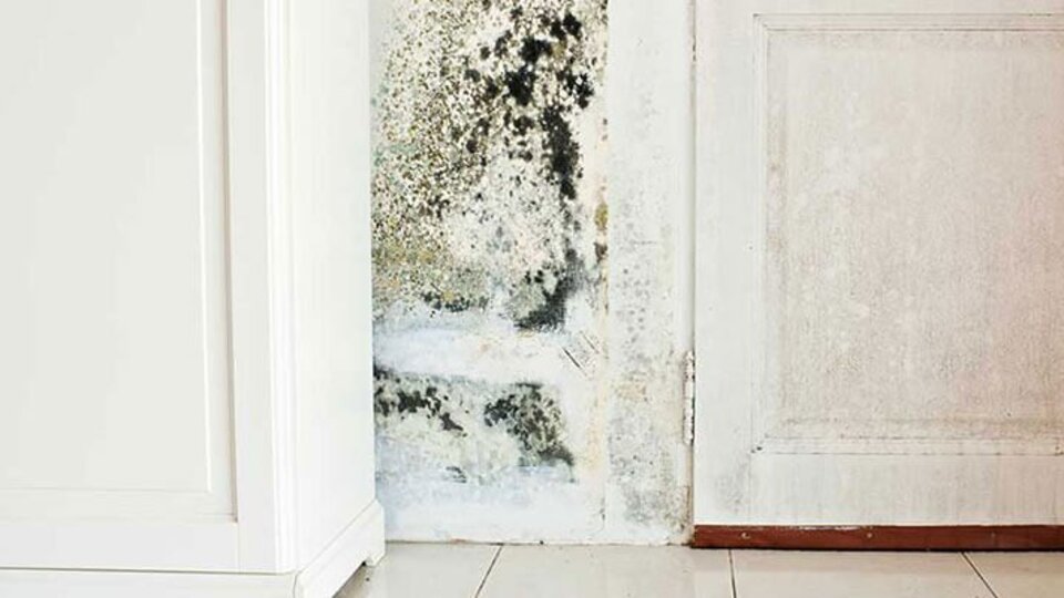 Evde rutubet oluşumu nasıl engellenir?