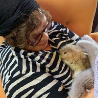 Yıldız Tilbe'den Sezen Aksu'ya jest