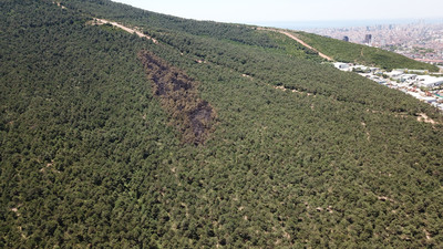 İstanbul'daki orman yangınından içler acısı görüntü!