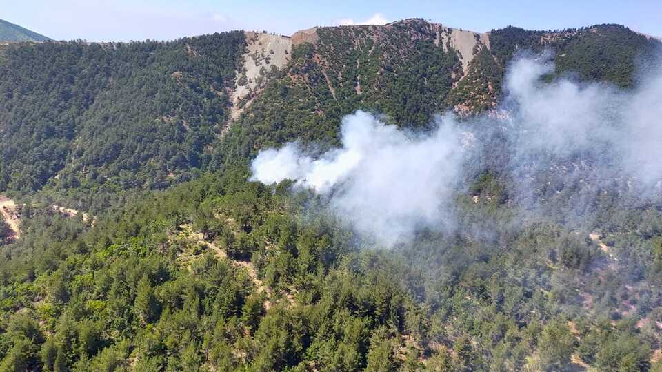 Hatay'da korkutan orman yangını!