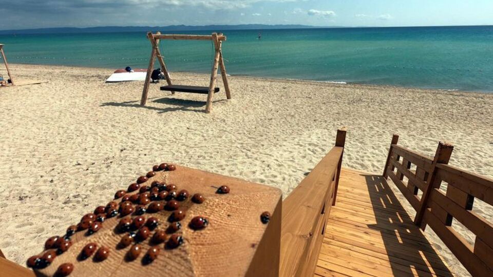 Saros Körfezi'nde uğur böceği istilası!