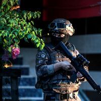 Soylu açıkladı! Bataklık Operasyonu başlatıldı