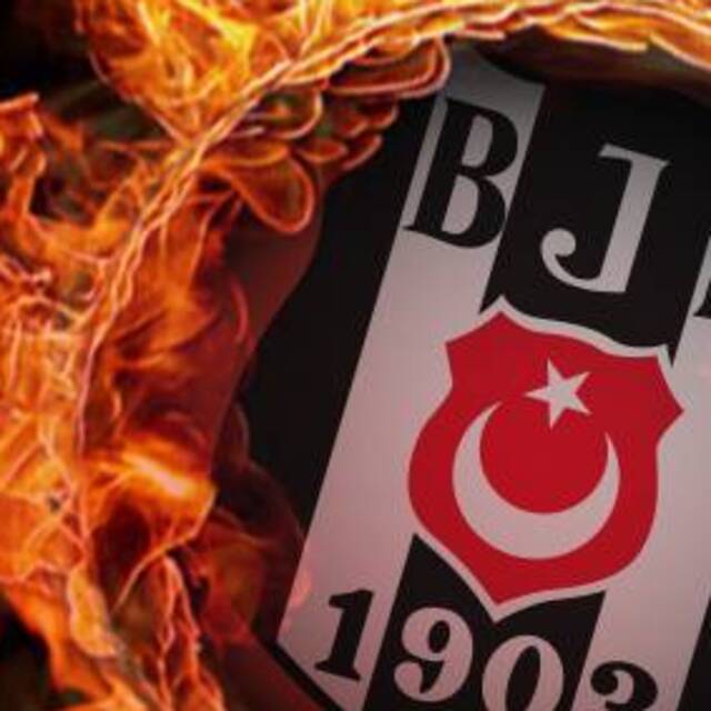 Larin ve Mirin beklemede