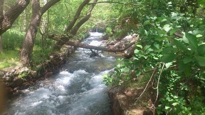 Susuzluğu sonu oldu!