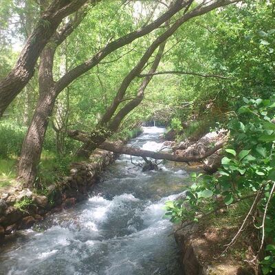 Susuzluğu sonu oldu!