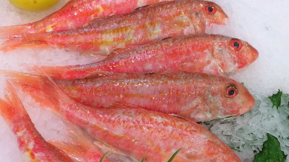 İşte Barbun balığının faydaları