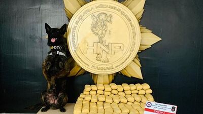 Hakkari'de uyuşturucu operasyonu