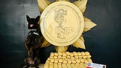 Hakkari'de ele geçirildi! Tam 100 kilo