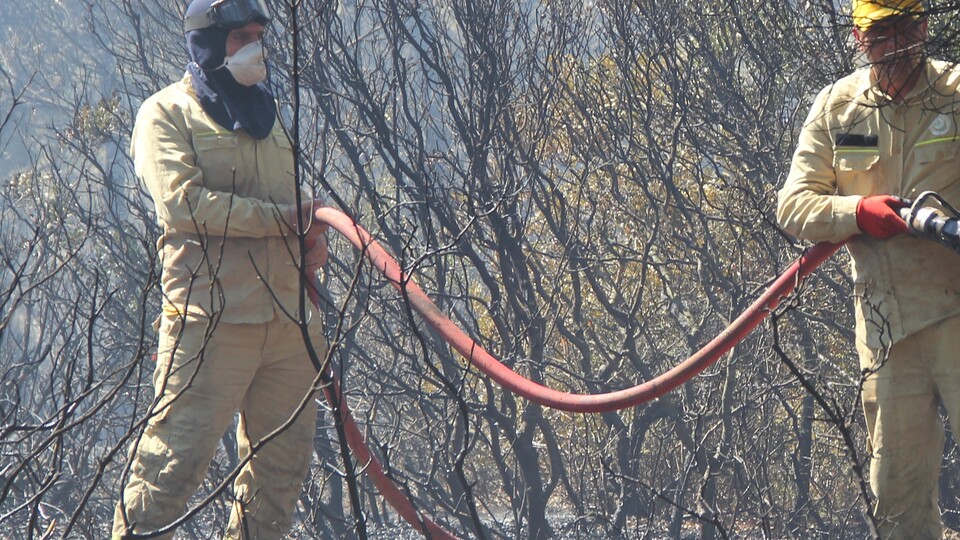 İzmir'deki orman yangınında flaş gelişme!