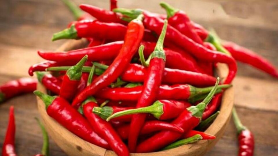 Acı biberin faydaları ve yan etkileri