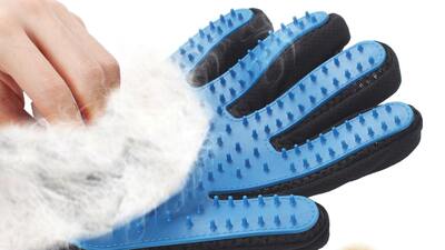 Kedi ve köpek tüyleri nasıl temizlenir?